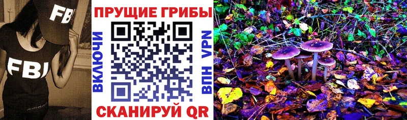 Галлюциногенные грибы Psilocybe  Димитровград 