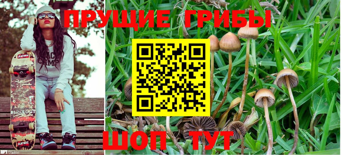 Димитровград  COCAIN  МДМА  МАРИХУАНА  Вход с VPN  Меф МЯУ МЯУ  ГАШ  МЕФ  