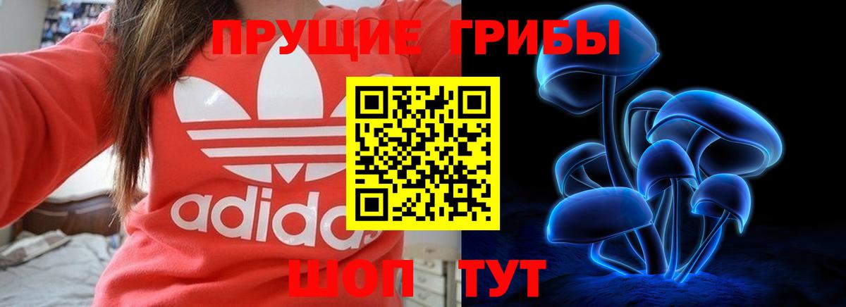 Псилоцибиновые грибы Psilocybe  Вход с VPN  Димитровград 